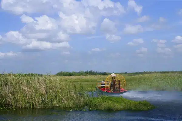 Everglades boat tour