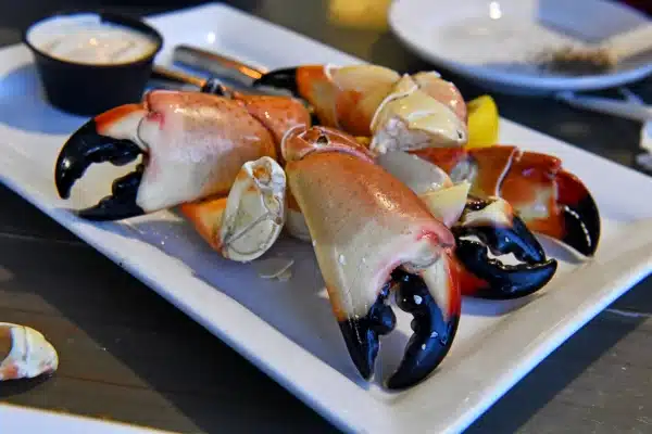 Stone crab