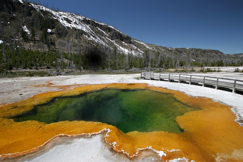 Yellowstone National Park