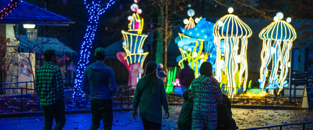 Lichtshows in Amerika