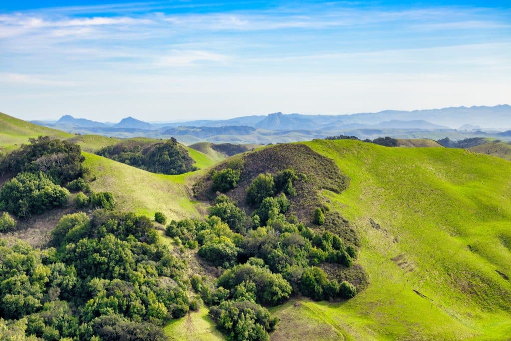 Groene heuvels rond Cambria, Californië