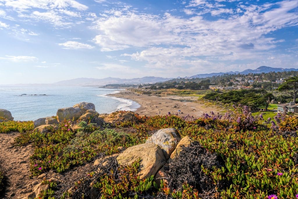Kustlijn en strand van Cambria, Californië