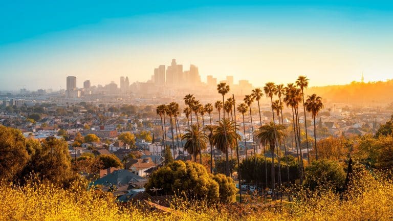 Wonderful West - Skyline van Los Angeles met palmbomen