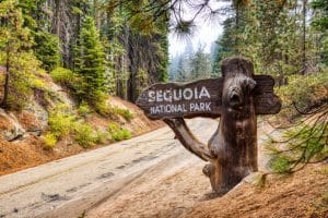 Parkentree met houten bord in Sequoia National Park