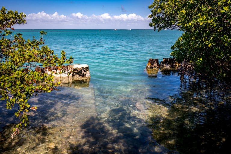 Kustlijn met mangroven in Biscayne National Park, Florida