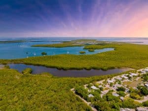 Mangrove-eilanden in blauwe baai bij Key Largo, Florida