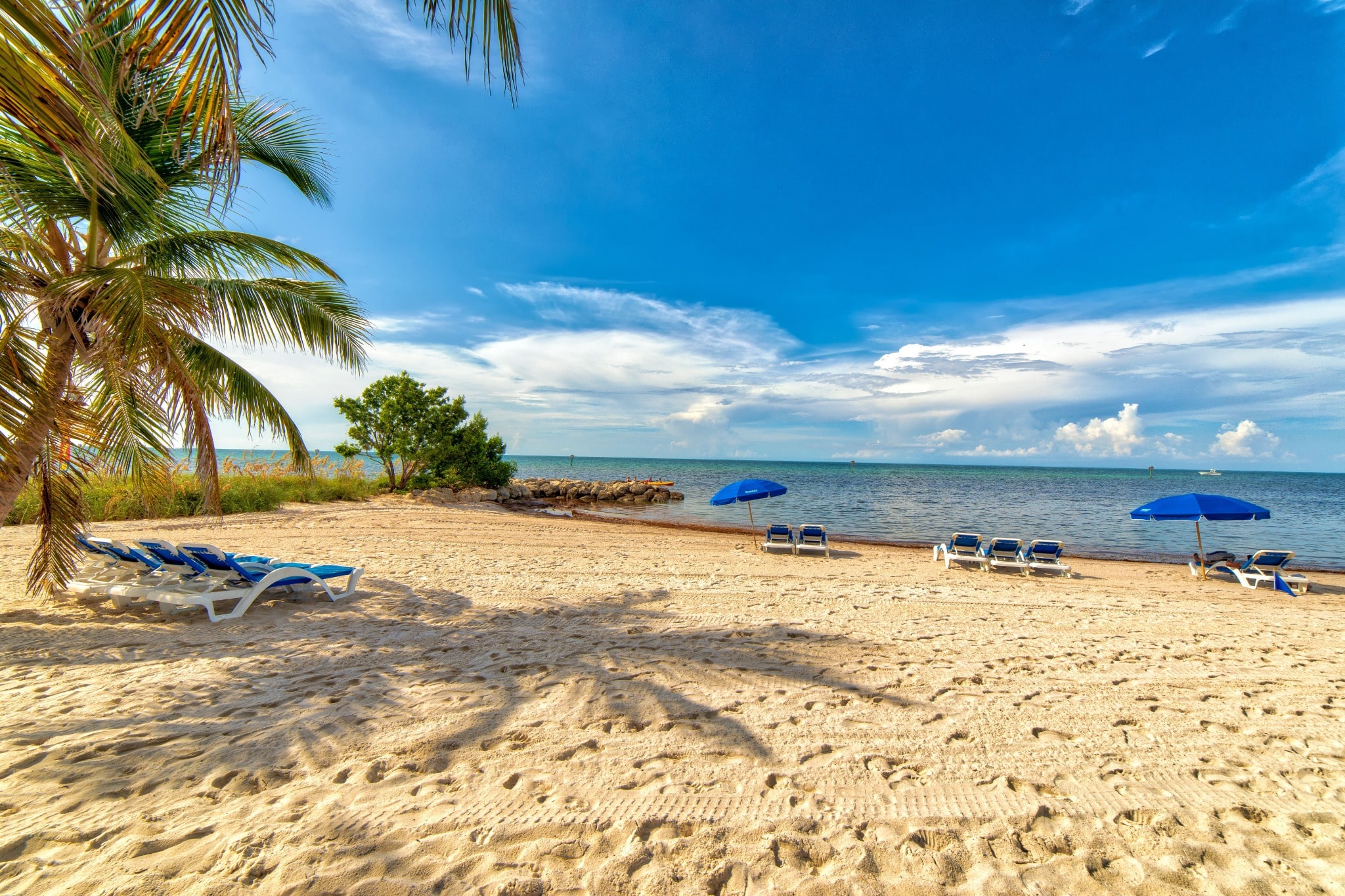 Strand met ligstoelen en palmbomen in Key West