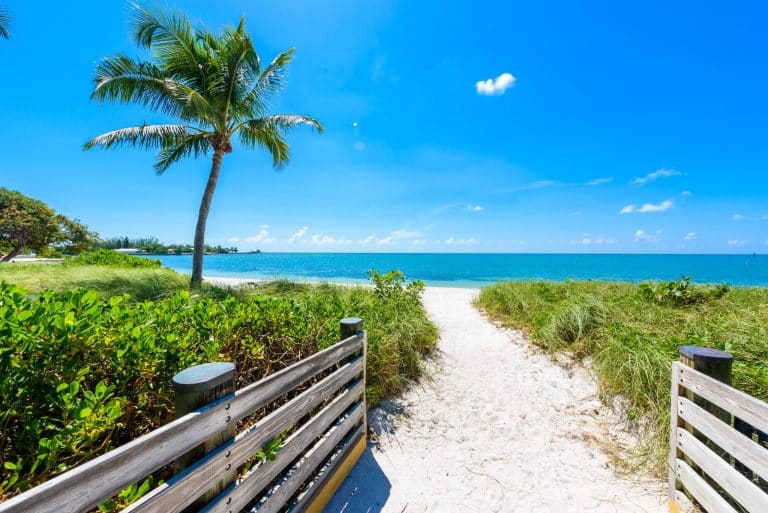 Zandpad met palmbomen naar het strand in Key West in Florida