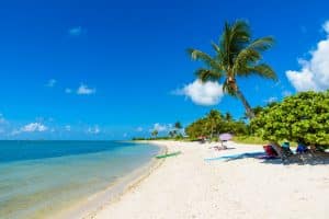 Wit zandstrand met palmbomen in Marathon, Florida