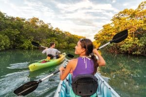 Kajakken door mangrove bij Everglades City, Florida
