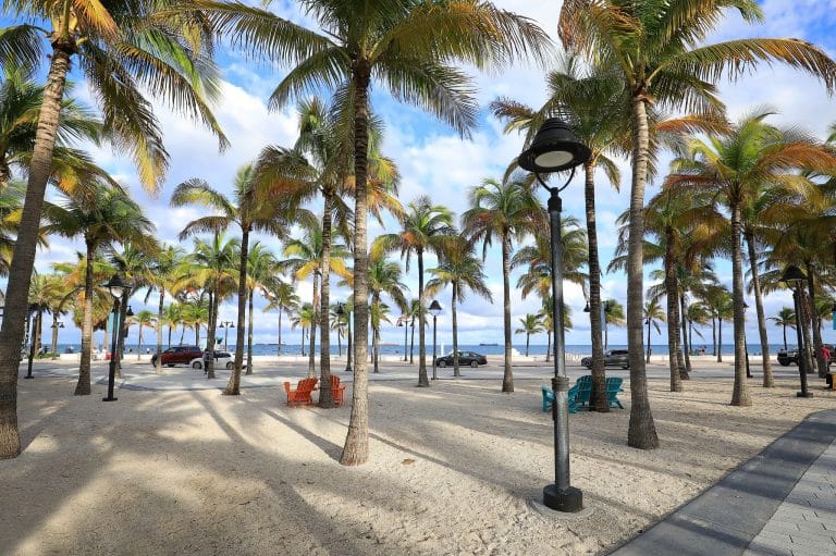 Palmbomen bij het strand in Fort Lauderdale, Florida