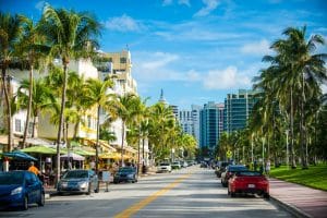 Straatbeeld met palmbomen in Miami, Florida