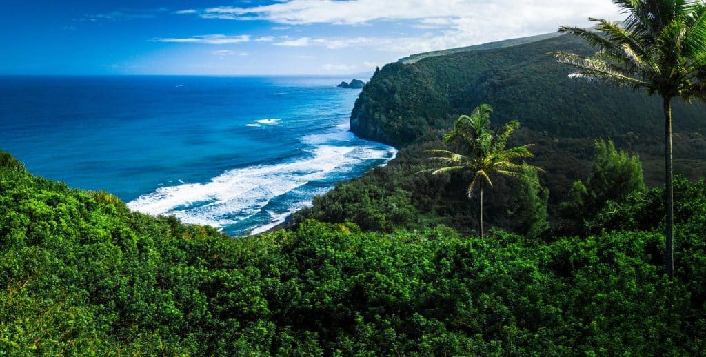 Uitzicht op kustlijn en palmbomen op Big Island, Hawaii