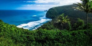 Uitzicht op kustlijn en palmbomen op Big Island, Hawaii