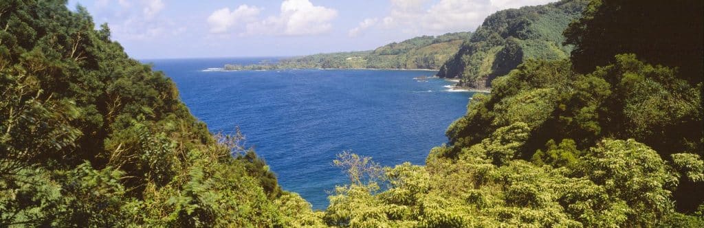 Hana kustlijn met bossen en oceaan op Maui, Hawaii