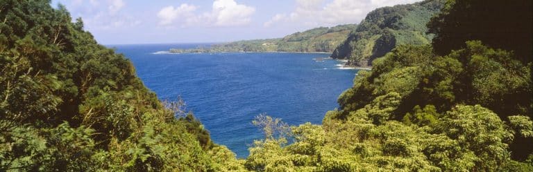Hana kustlijn met bossen en oceaan op Maui, Hawaii