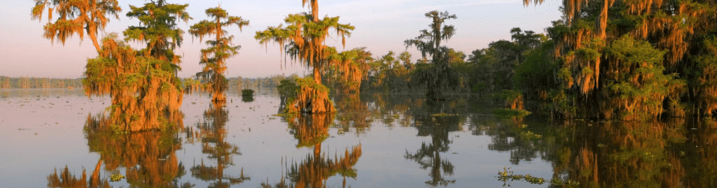 new orleans bayous