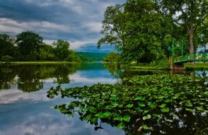 Vijver met lelies en brug in Finger Lakes New York