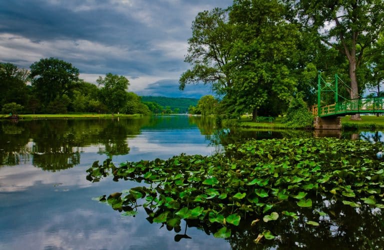 Vijver met lelies en brug in Finger Lakes New York
