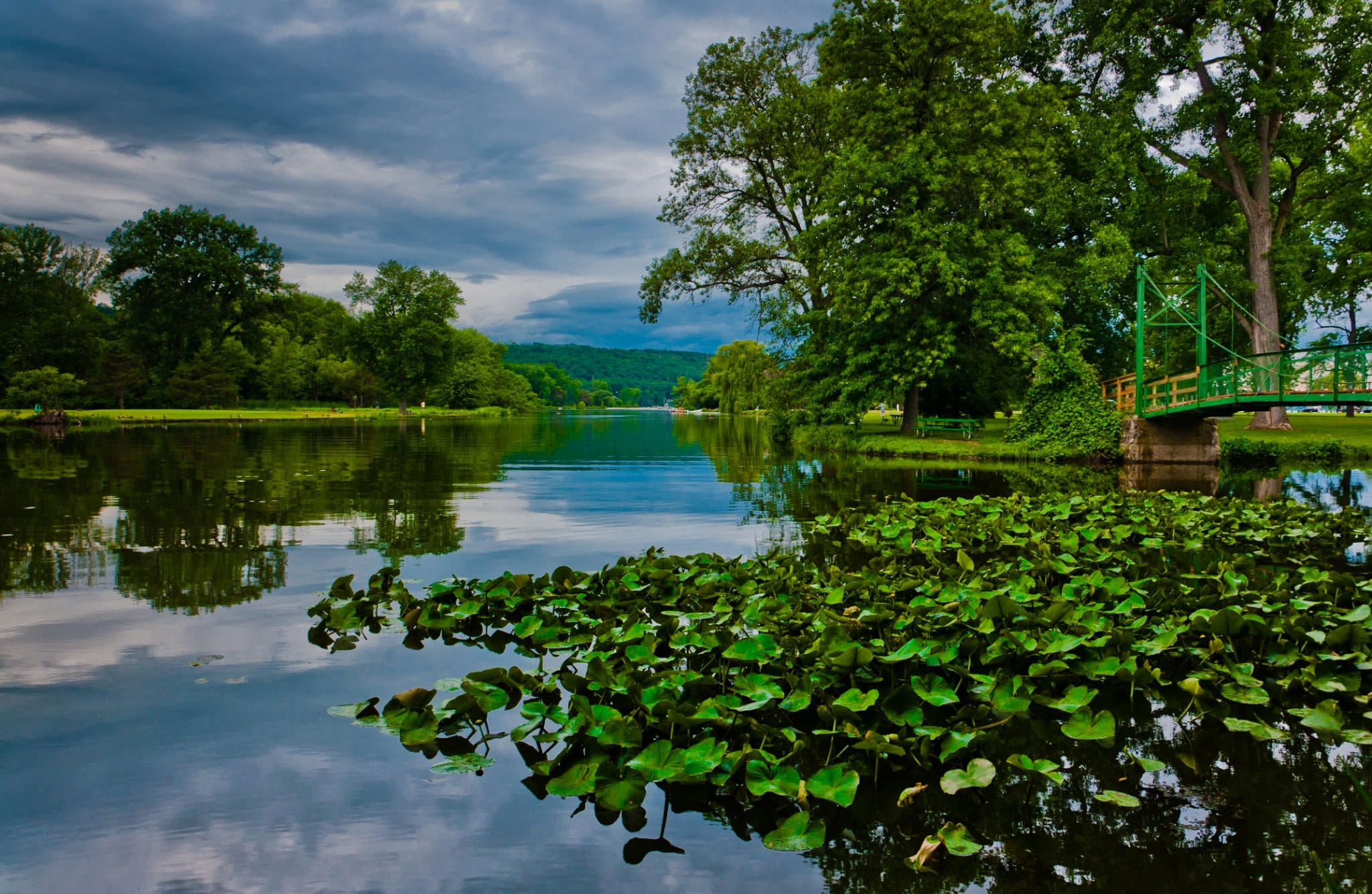 Vijver met lelies en brug in Finger Lakes New York