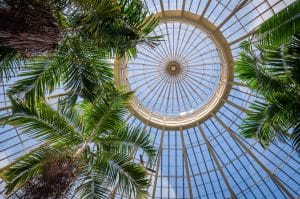 Palmhuis in botanische tuin van Buffalo New York