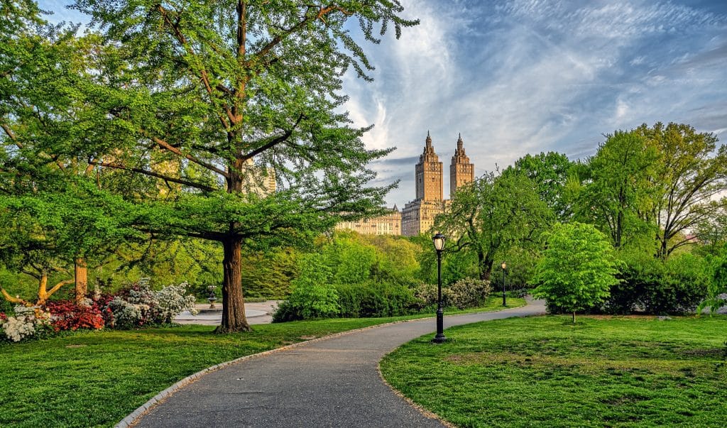 Central Park in New York City in het voorjaar