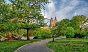 Central Park in New York City in het voorjaar