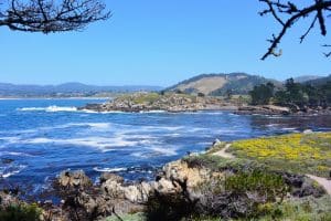 Pad langs kust bij Point Lobos, California