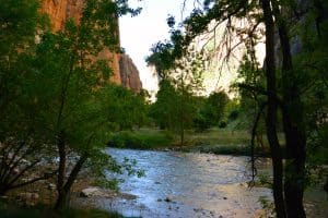 Rivier in kloof in Zion National Park, Utah