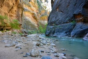 Rivierbedding tussen rotswanden in Zion National Park, Utah