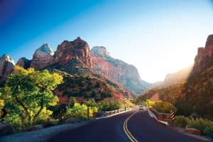 Weg door zonovergoten canyon in Zion National Park, Utah