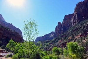 Zon boven canyon in Zion National Park, Utah
