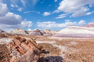 Badlands en versteend hout in Petrified Forest National Park Arizona