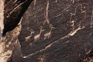 Petroglyfen op rotsen in Petrified Forest National Park Arizona