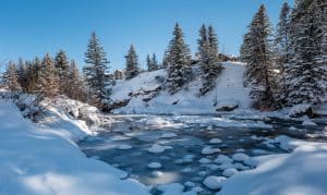 Besneeuwde rivier en bomen in Vail Colorado