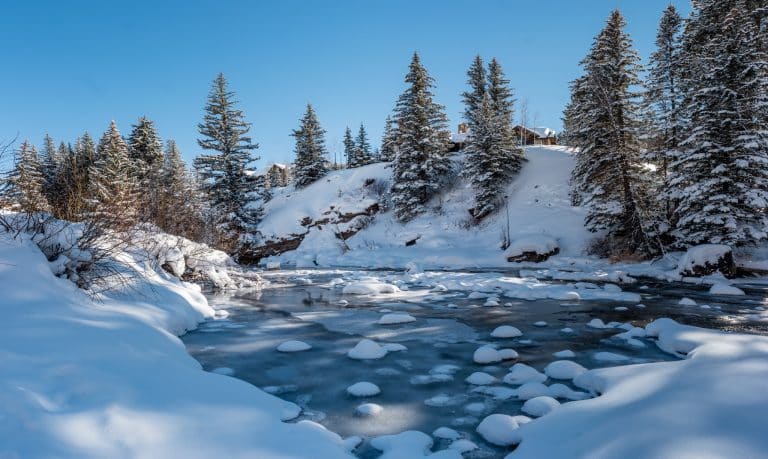 Besneeuwde rivier en bomen in Vail Colorado