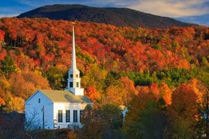 Fall Foliage