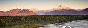 Bergen en bossen in Denali National Park Alaska