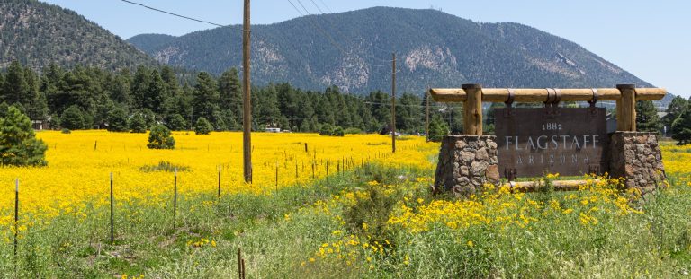 Welkomstbord van Flagstaff, Arizona met bloemenvelden