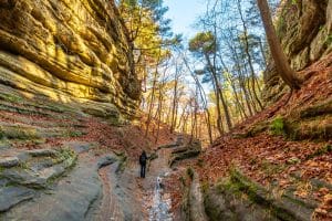 Rotsformaties en wandelpad in Springfield, Illinois