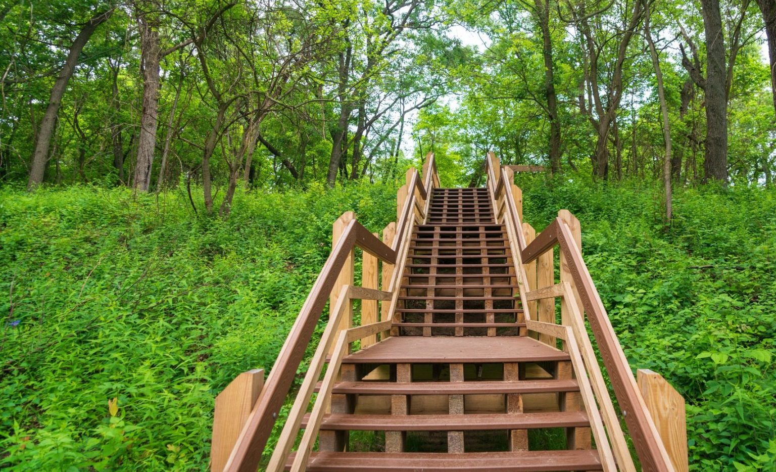 Houten trap in bos van Indiana Dunes National Park, Indiana
