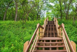 Houten trap in bos van Indiana Dunes National Park, Indiana