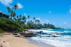 Strand met palmbomen op Kauai, Hawaii