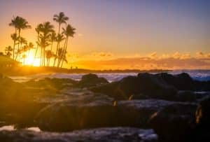 Zonsondergang met palmbomen op Kauai, Hawaii