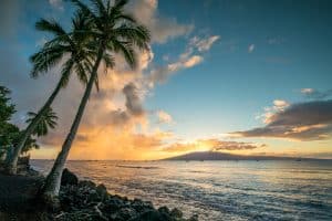 Zonsondergang met palmbomen op Lanai Hawaii