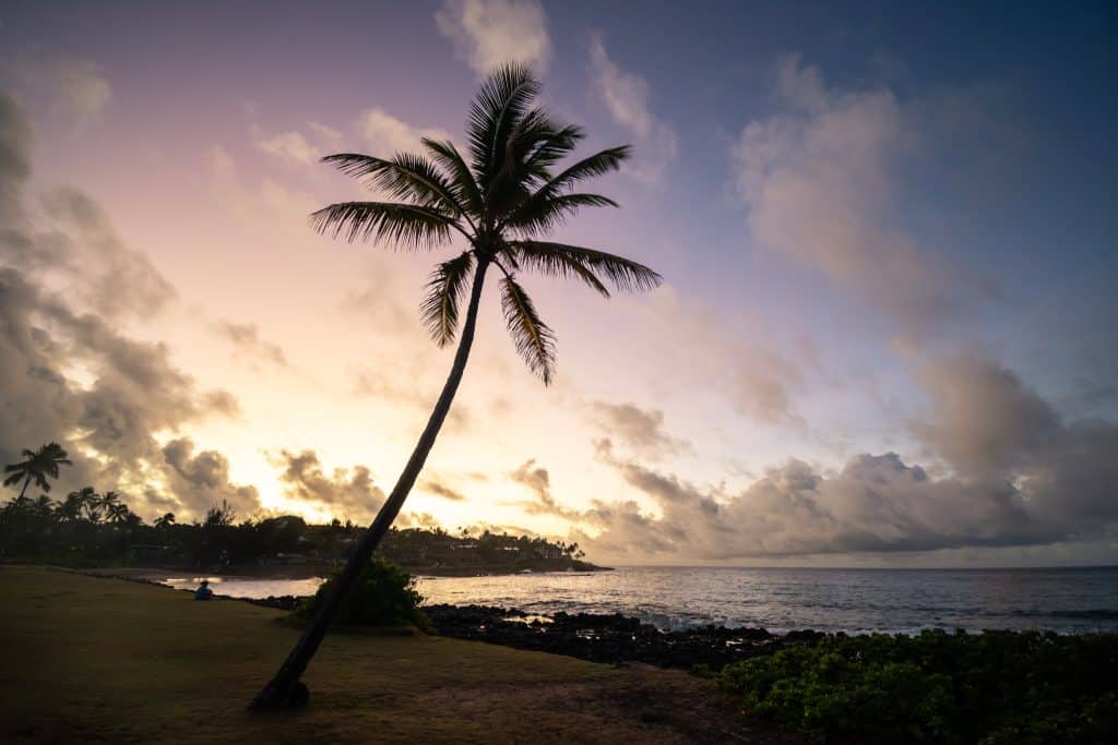Zonsondergang in Poipu Hawaii met een enkele palmboom