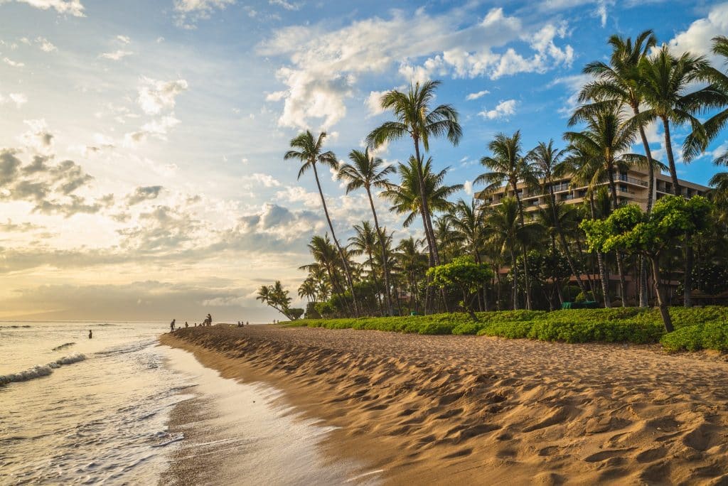 Palm bomen langs het strand van Kaanapali Maui