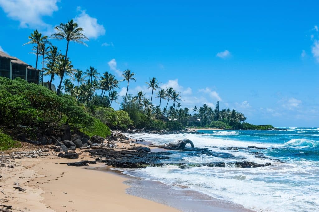 Tropisch strand met palmbomen op Oahu Hawaii