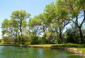 Bosrand met water in Carlsbad, New Mexico