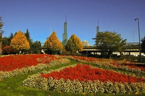 Bloemenveld bij Oregon Convention Center in Portland Oregon